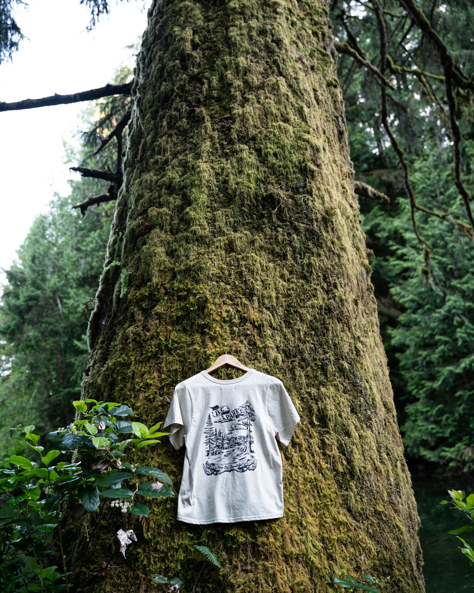 The BC Parks Crop Tee - Image 3
