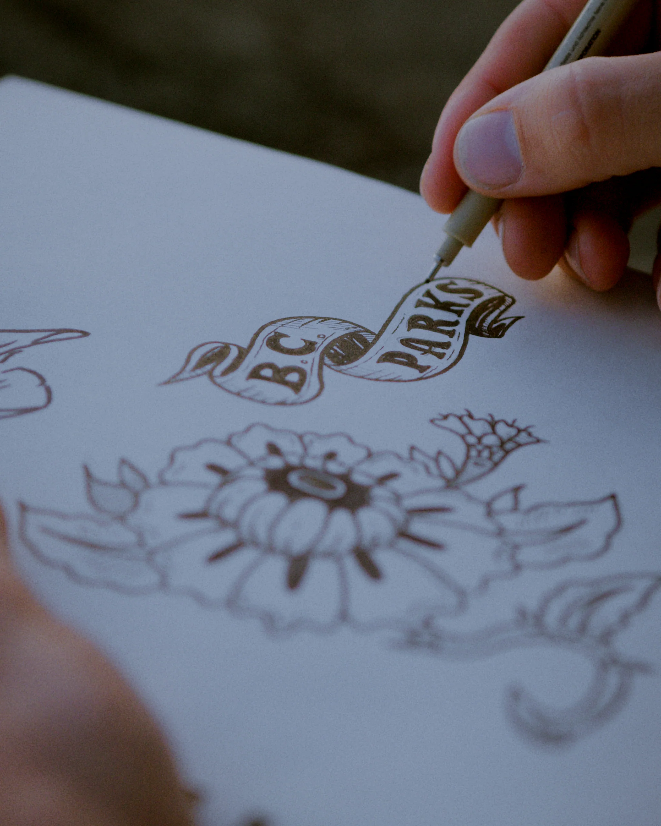 The BC Parks Crop Tee - Image 4